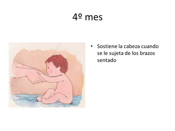 4º mes
