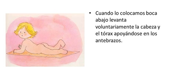 4º mes1