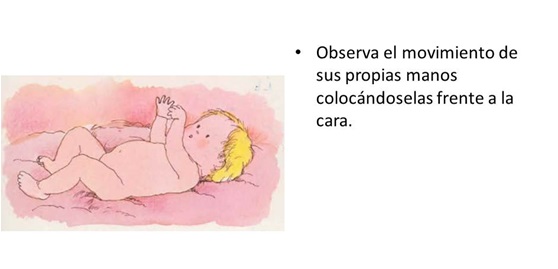 4º mes3