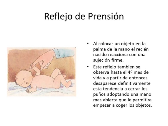 Reflejo de prensión